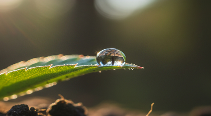 Touch Something Natural, Every Day