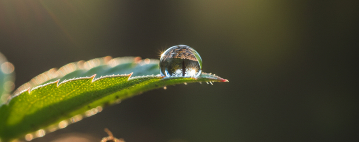 Touch Something Natural, Every Day